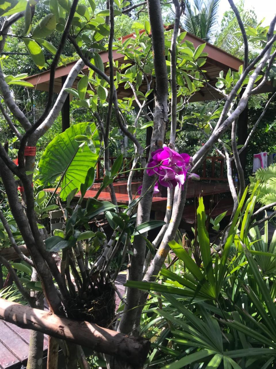 88 Homestay Bang Chak 외부 사진