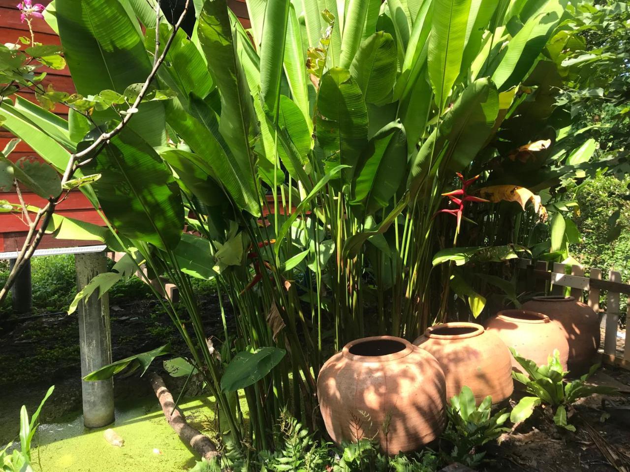 88 Homestay Bang Chak 외부 사진
